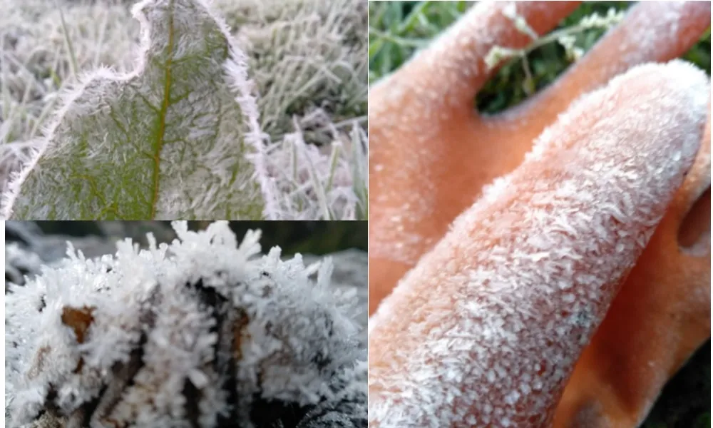 Banner Fenomena Embun Es Di Kawasan Bromo Tengger Semeru