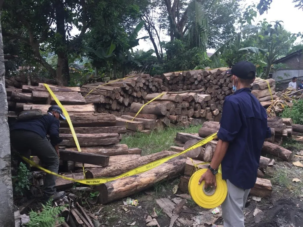 Banner BKSDA Yogyakarta Gagalkan Penyelundupan Ratusan Batang Kayu Sonokeling Tanpa Dokumen