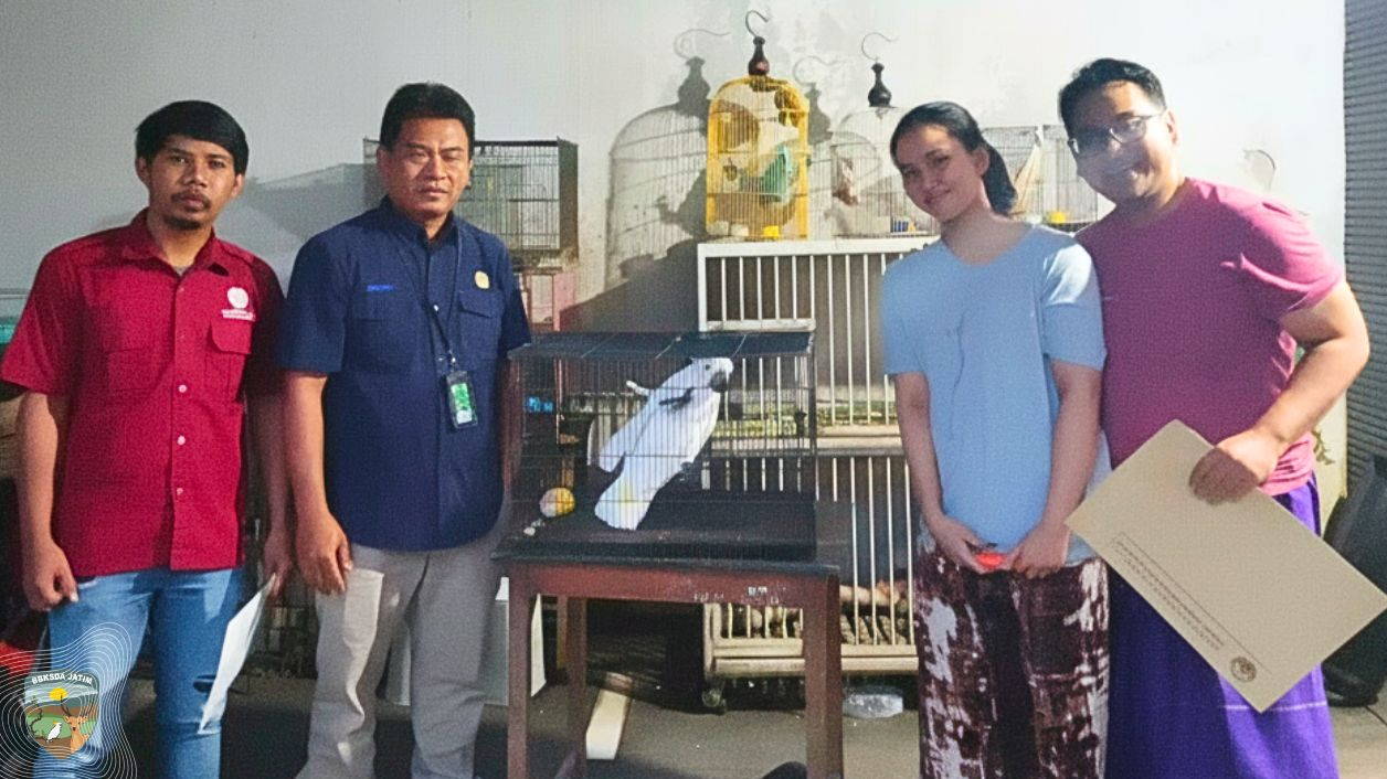 Banner Setelah Tujuh Tahun Dipelihara, Kakatua Dilindungi Akhirnya Diserahkan