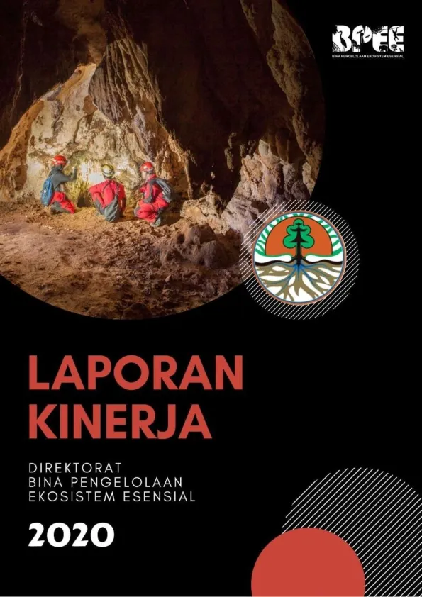 Laporan Laporan Kinerja Direktorat BPEE Tahun 2020