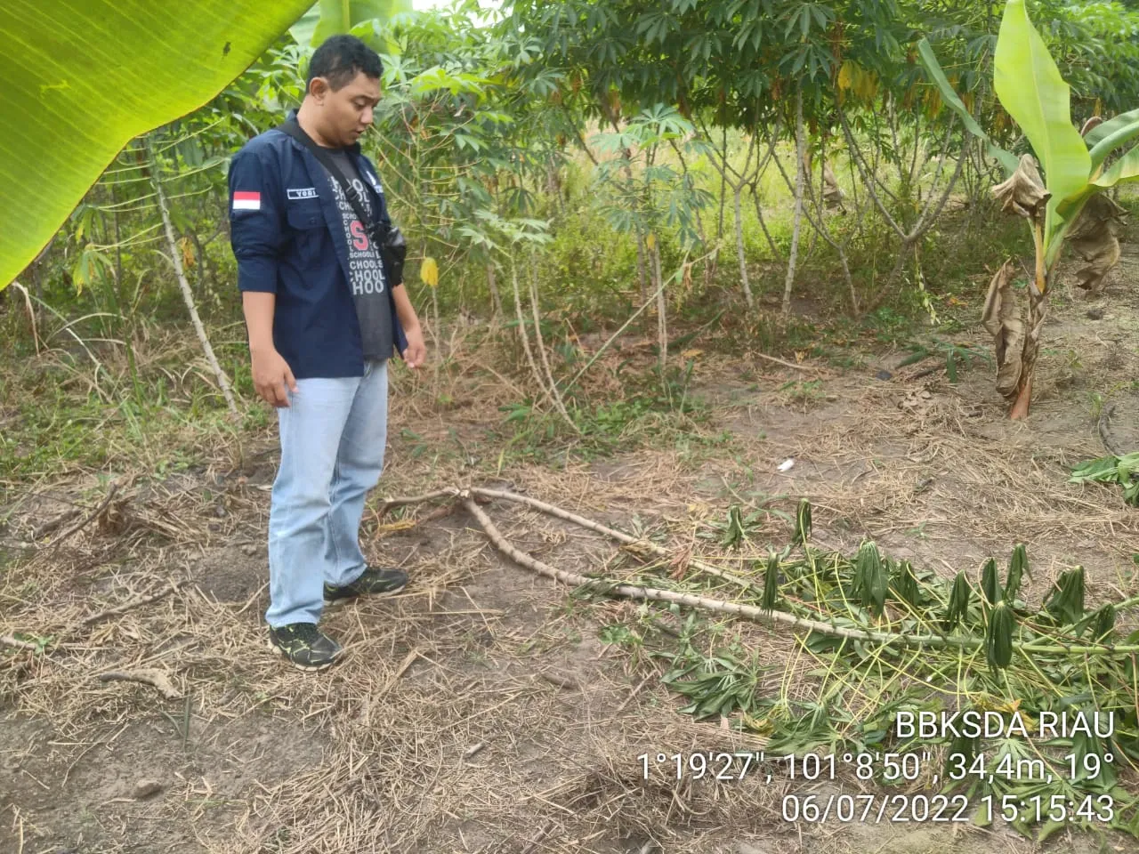 Banner Tim Resort Duri Telusuri Keberadaan Gajah Yang Masuk ke Kebun Warga Desa Balai Makam