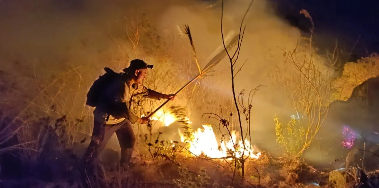 Banner Kebakaran di Pulau Komodo Berhasil Dipadamkan Petugas Balai Taman Nasional Komodo