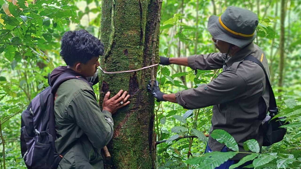 Banner Pastikan Batas Kawasan Utuh, Tim Patroli Susuri Gunung Sigogor