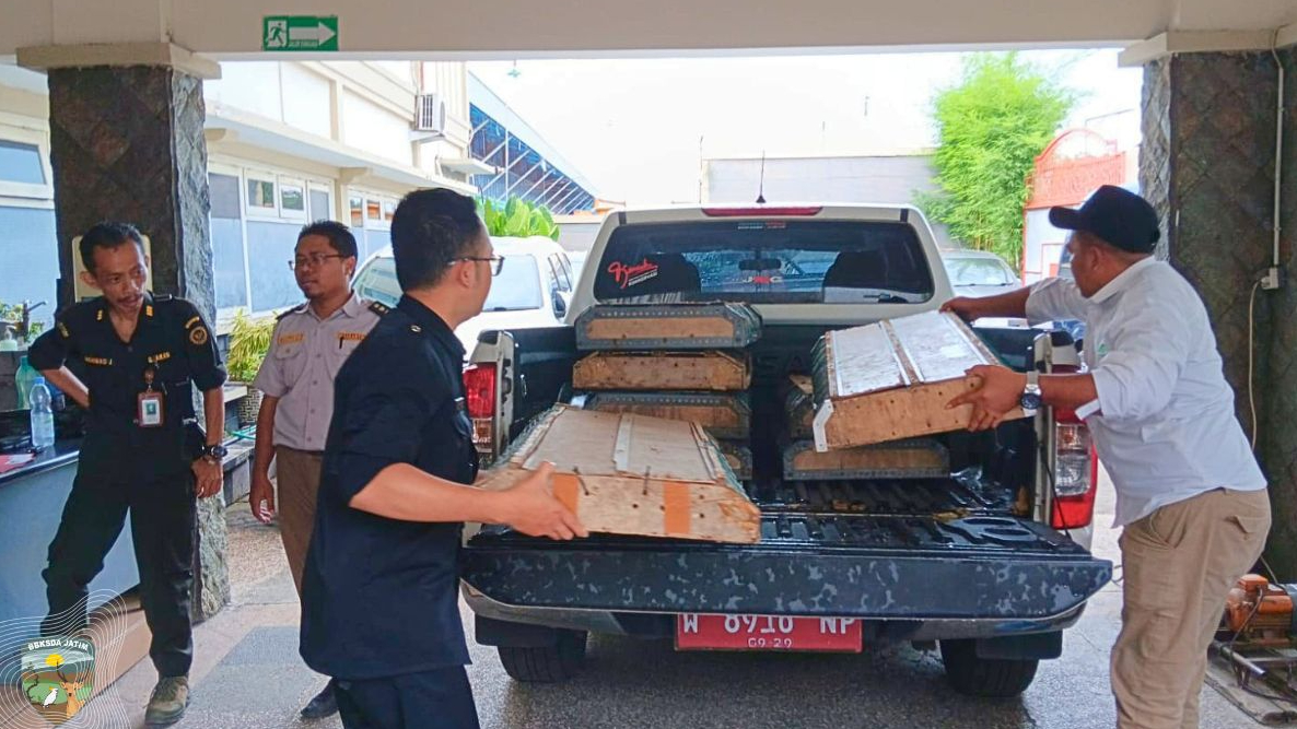 Banner Kembali Terungkap Di Tanjung Perak, Ratusan Burung Hidup Dalam 22 Kotak Kayu