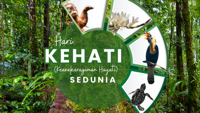 Banner Hari Keanekaragaman Hayati