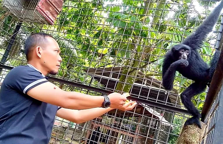 Banner KANDANG TRANSIT SATWA