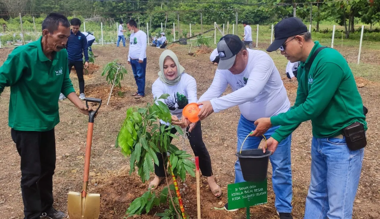 Banner Tanah Tanaman Yang Menjaga Udara Sehat Dan kelestarian Alam