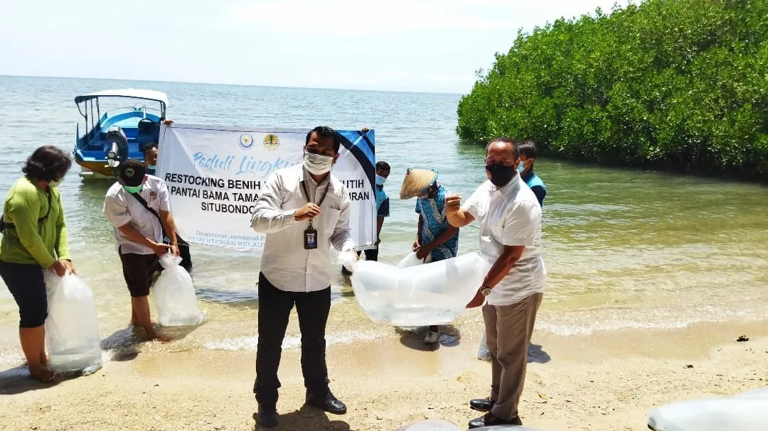 Banner Pelepasliaran Ikan Kakap Putih di Pantai Bama Taman Nasional Baluran
