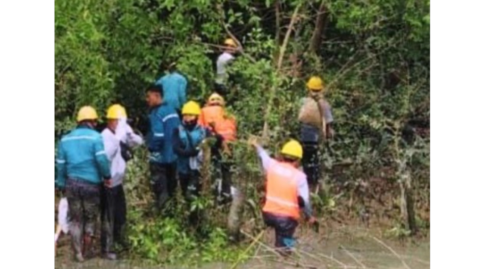 Banner Pendampingan Pemeliharaan Jaringan Listrik di Kawasan SM Karang Gading dan Langkat Timur Laut