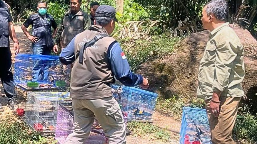 Banner Sempat Jadi Barang Bukti, 160 Satwa Kembali ke Alam