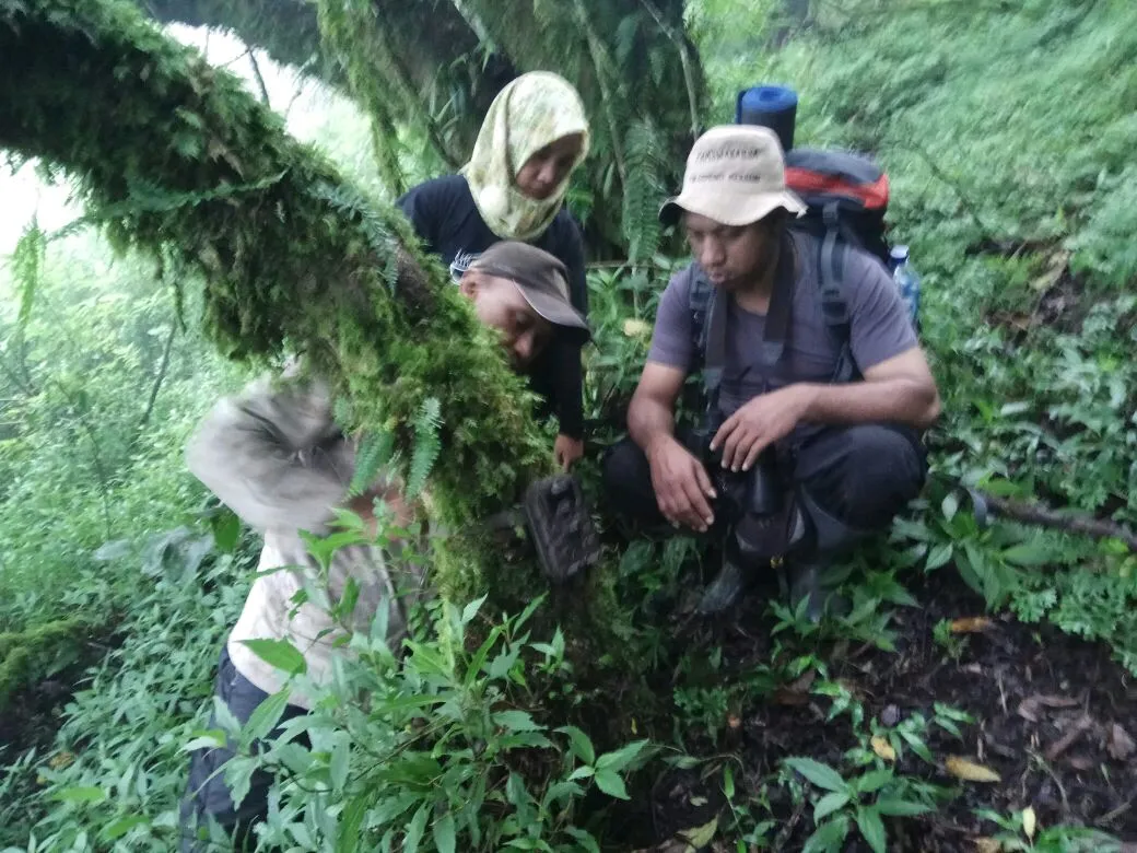 Banner Mencari Jejak Satwa Liar di Gunung Merbabu dengan Kamera Trap
