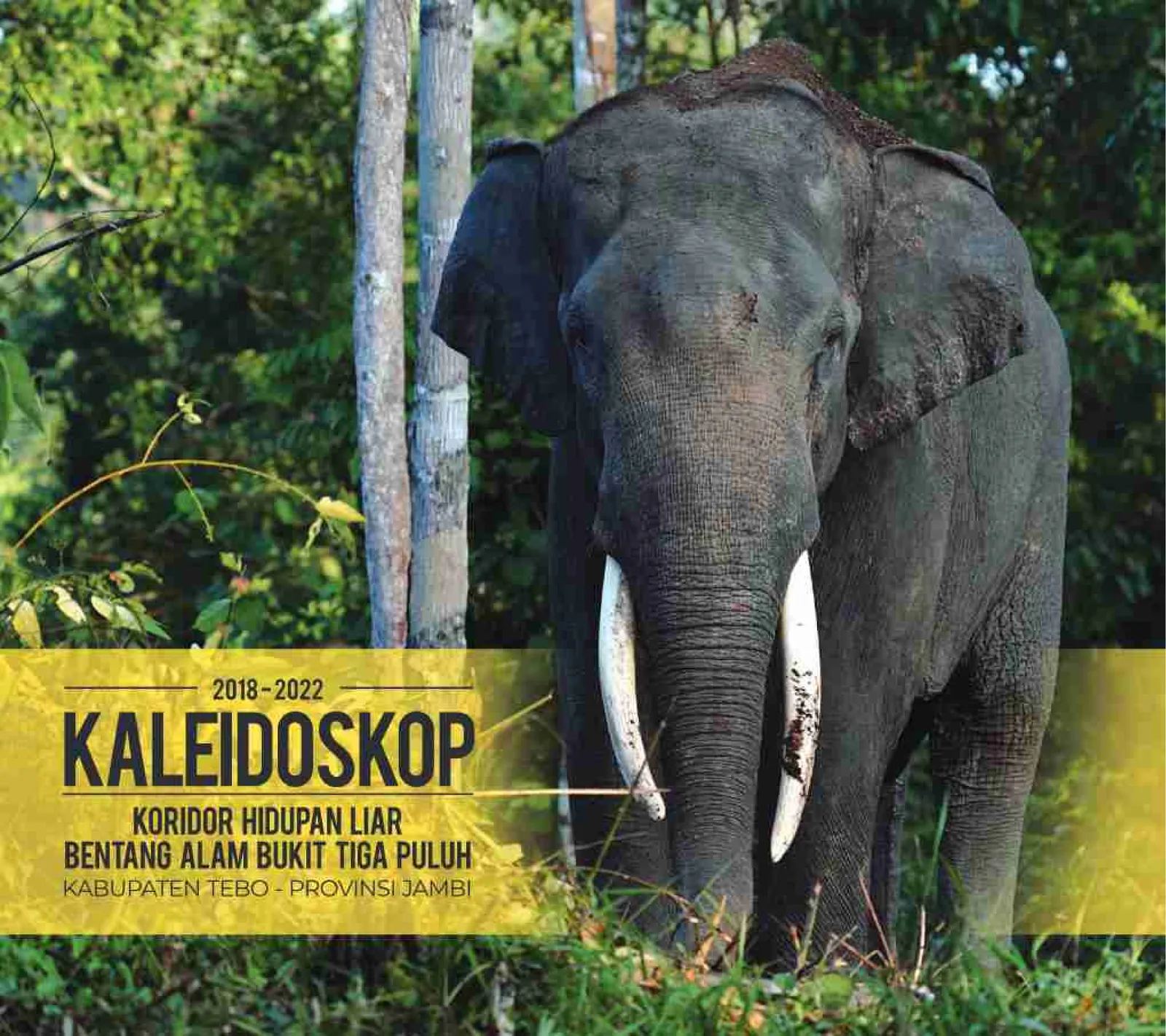 Laporan Kaleidoskop Koridor Hidupan Liar Betang Alam Bukit Tiga Puluh