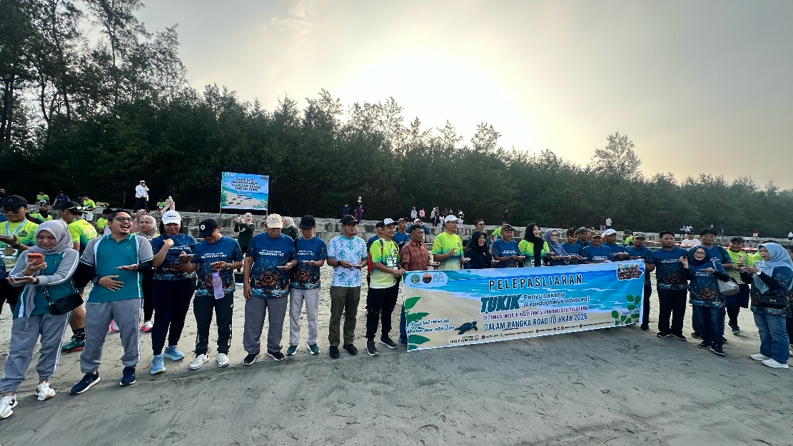 Banner 120 Penyu Lekang Kembali ke Laut, BKSDA Bengkulu Peringati HKAN 2026 di Pantai Panjang