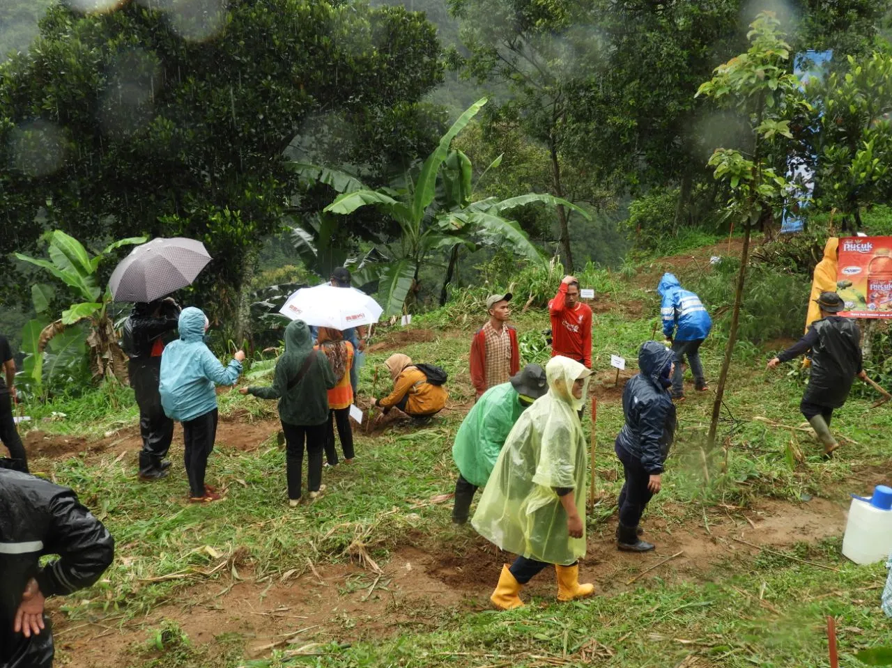 Banner Tanam 2.000 Pohon di HUT TN Gunung Gede Pangrango