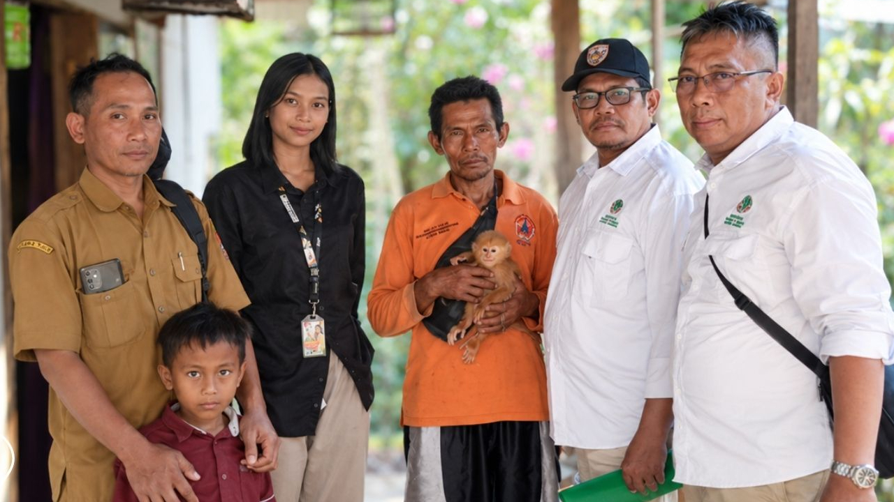 Banner Anakan Lutung Jawa Ditemukan di Kebun, Lima Hari Kemudian Diserahkan ke Petugas