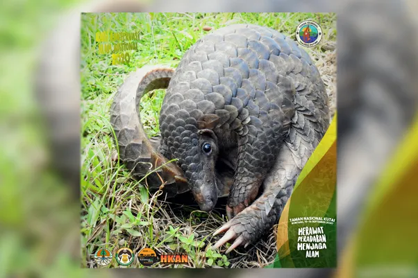 Banner Sekelompok Remaja Rela Gedor Pintu Tengah Malam Demi Si Manis