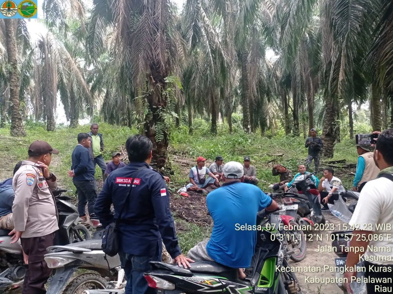 Banner Masyarakat Betung dan Balai TN Tesso Nilo Berhasil Giring Gajah Liar