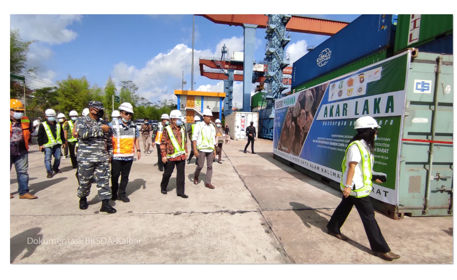 Banner BKSDA Kalbar Lepas Ekspor Perdana Akar Laka Ke Cina