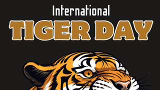 Banner Hari Harimau Dunia