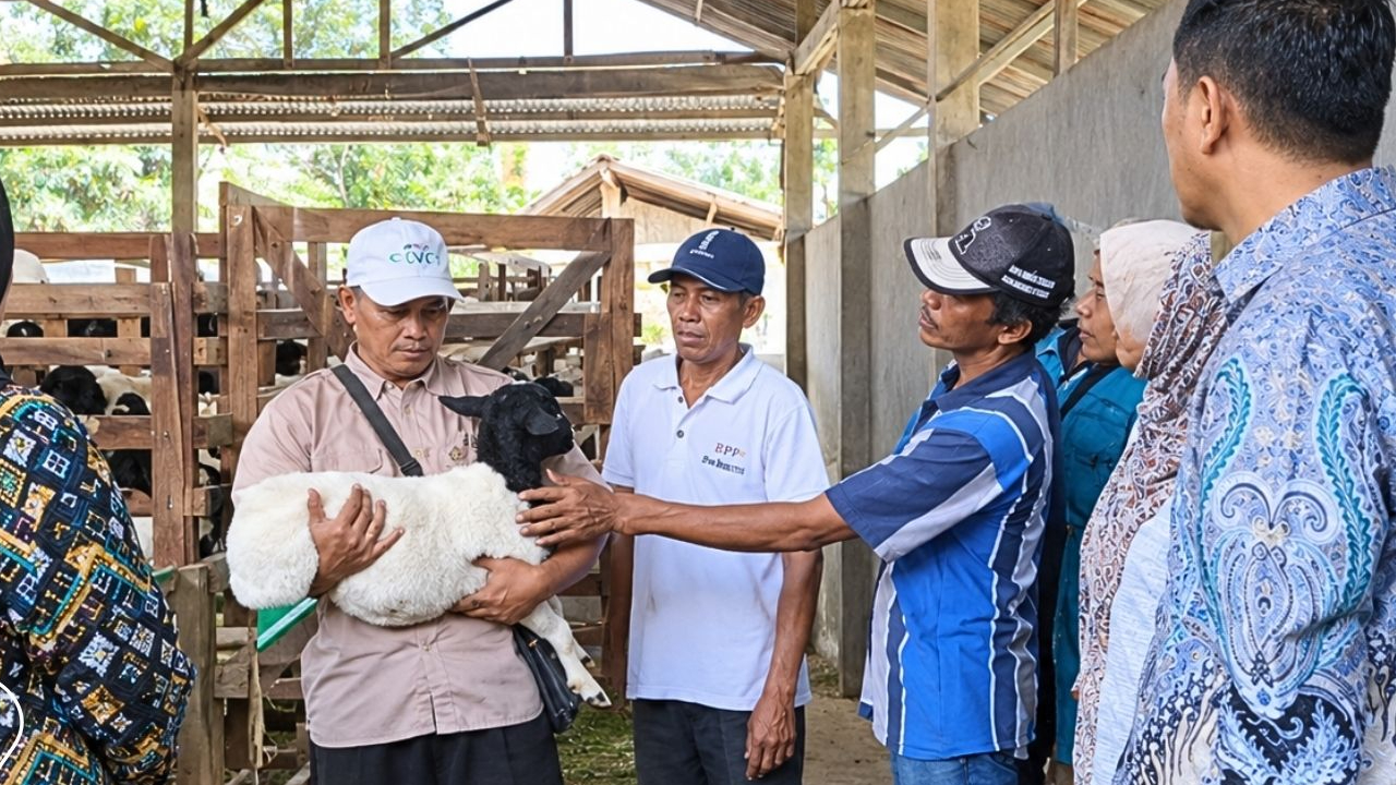 Banner Warga Manggis Belajar Menjaga Hutan dan Membaca Pasar dari Kandang Kambing