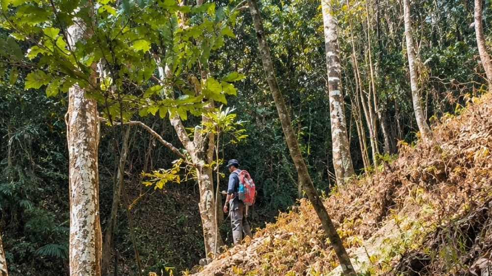 Banner Hutan Kering Bukan Hutan Mati