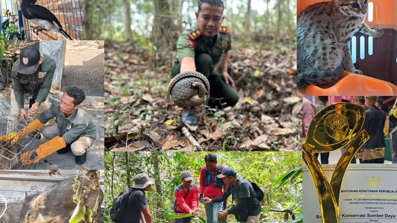 Banner Agustus dari Rimba Jawa Timur: Tentang Satwa, Manusia, dan Jalan Pulang