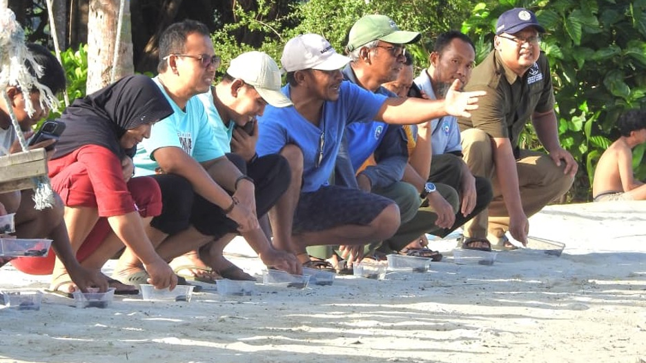Banner Ngabuburit Konservasi: Balai TN Karimunjawa Rilis 20 Tukik Sisik Warnai Senja Ramadhan