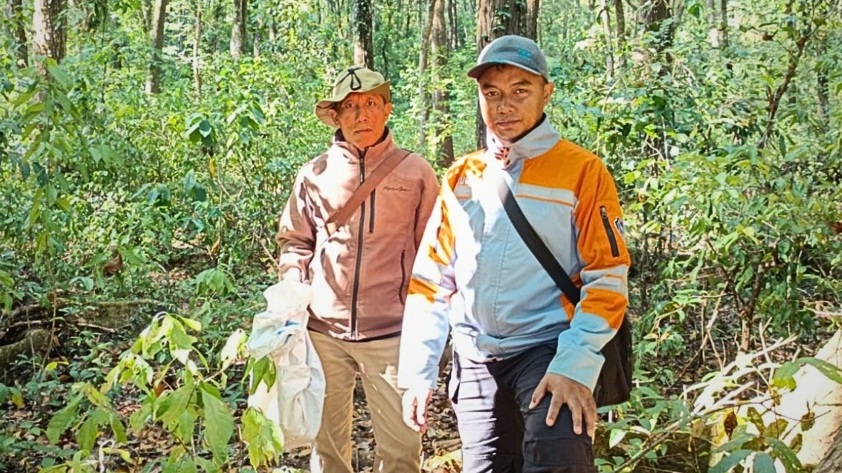 Banner Sanca, Hutan, dan Sebuah Pilihan