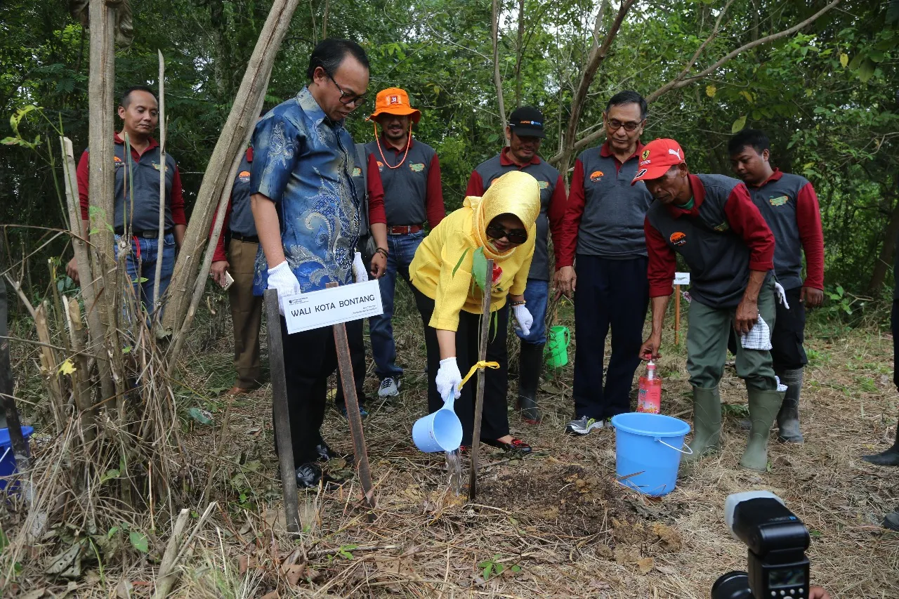 Banner Wah 2.200 Pohon Mangrove dan Dipterokarpa ditanam di Bontang Mangrove Park