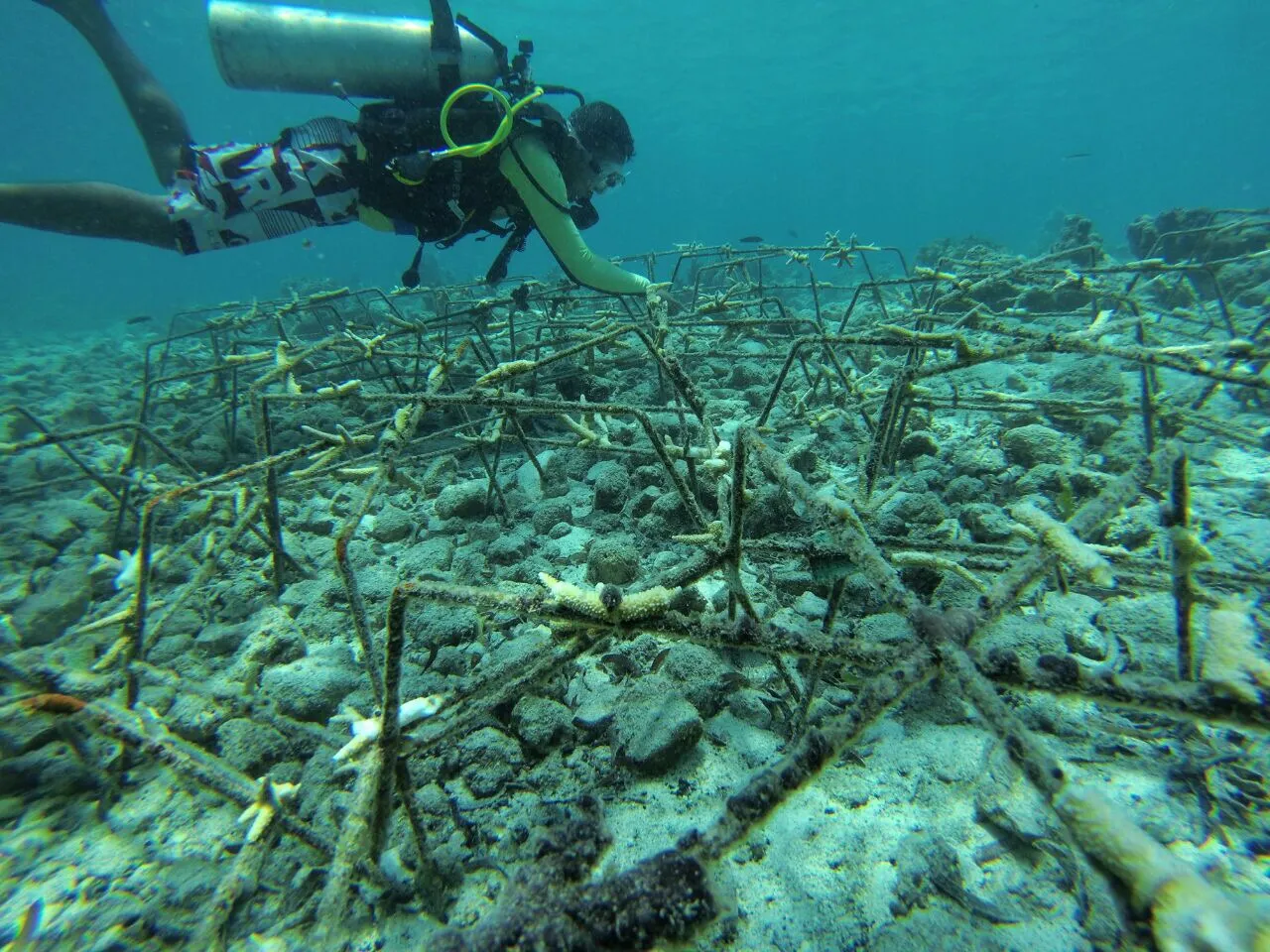 Banner Setitik Asa Untuk Pemulihan Kawasan
