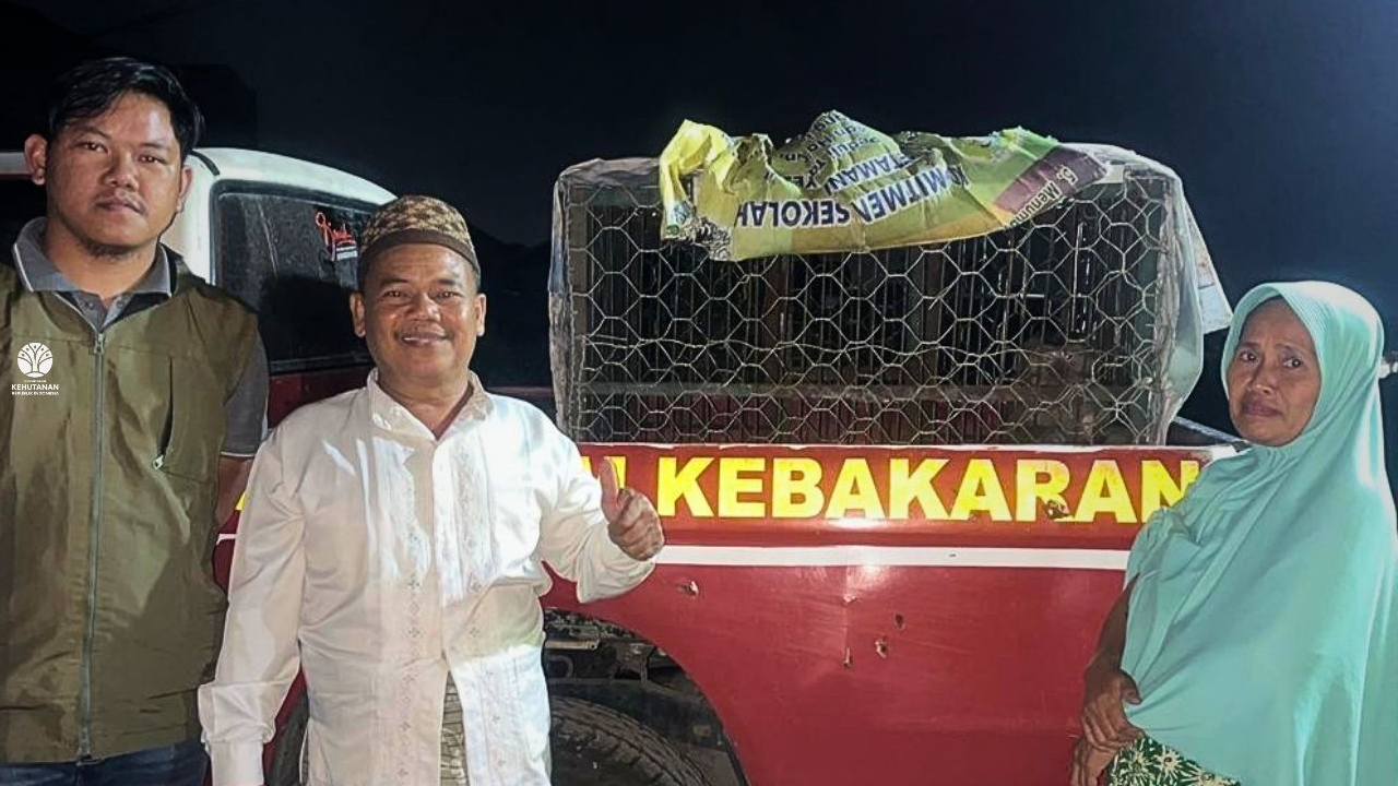 Banner Satu Utas yang Menggerakkan Penyelamatan Monyet Ekor Panjang di Hamparan Sampah