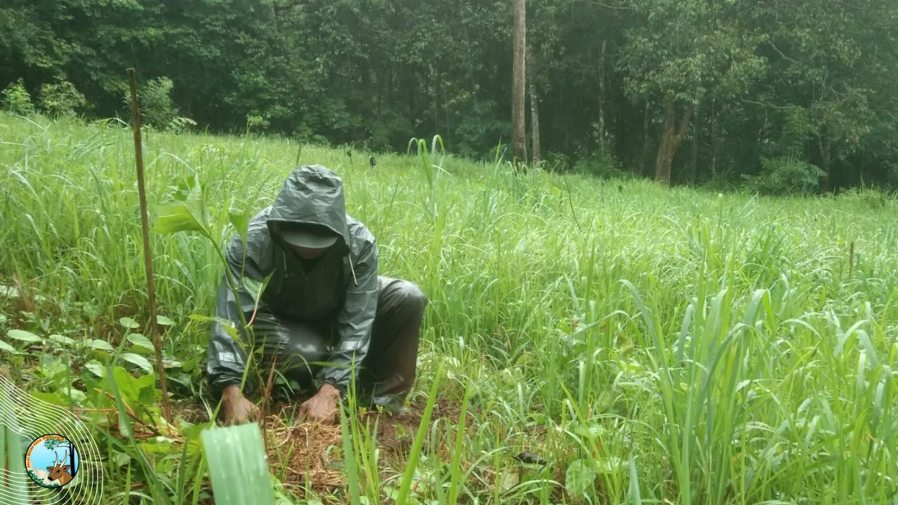 Banner Hasil Pemulihan Ekosistem di Suaka Alam Pulau Bawean Nyaris 100%