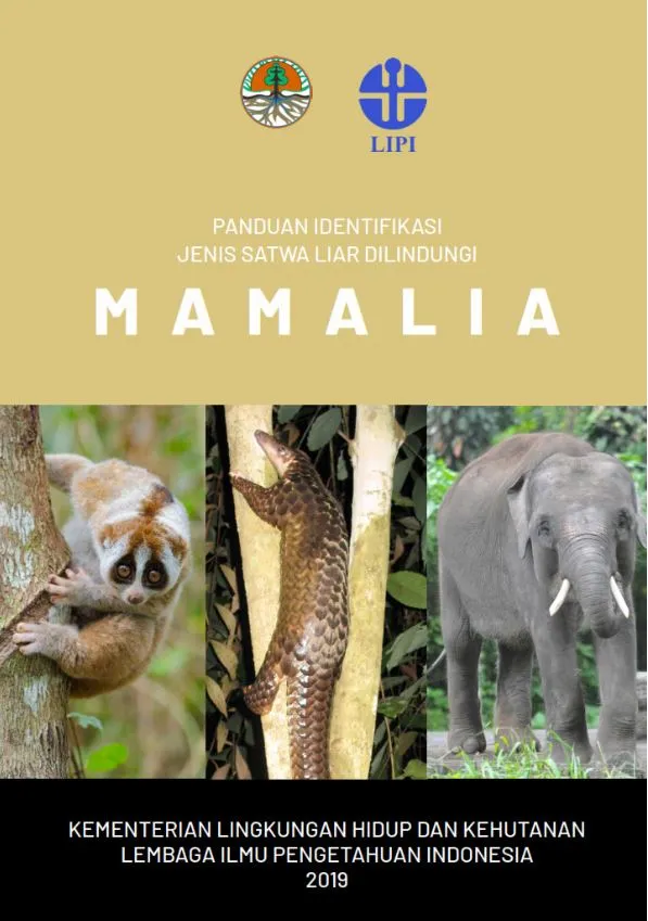 Laporan Panduan Identifikasi Jenis Satwa Liar Dilindungi MAMALIA