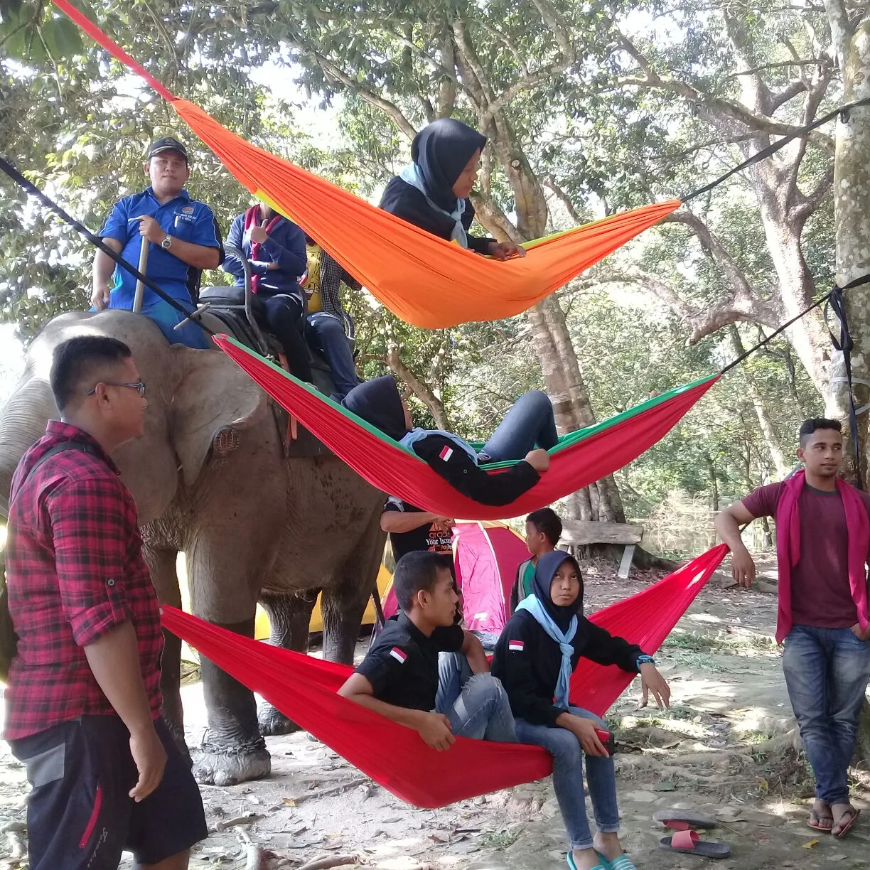 Banner Kids Jaman Now, Suka Juga Belajar Konservasi