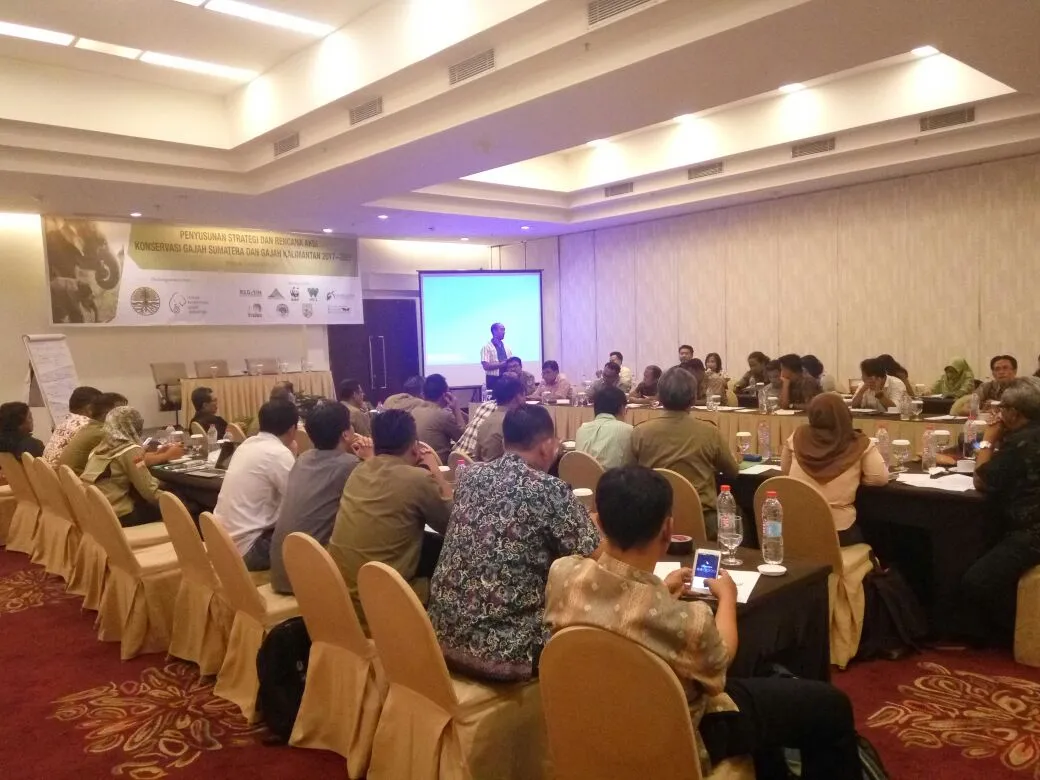 Banner Evaluasi Dokumen SRAK Gajah Sumatera dan Gajah Kalimantan Periode 2007 - 2017