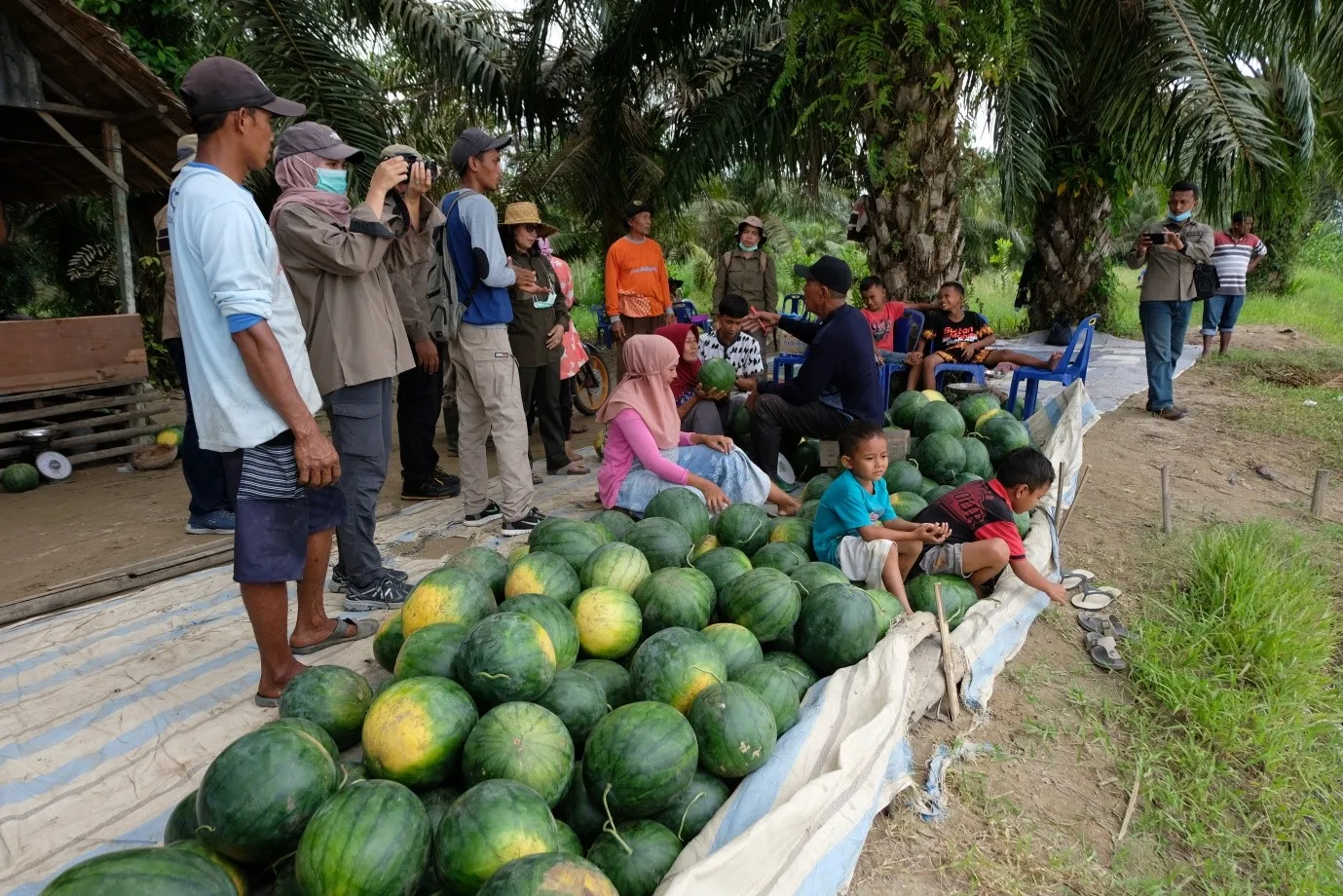 Banner Manfaat Nyata Kemitraan Konservasi Binaan BBKSDA Sumut