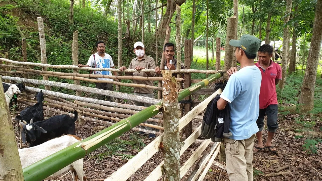 Banner Monitoring Sapu Jagat di TN Matalawa