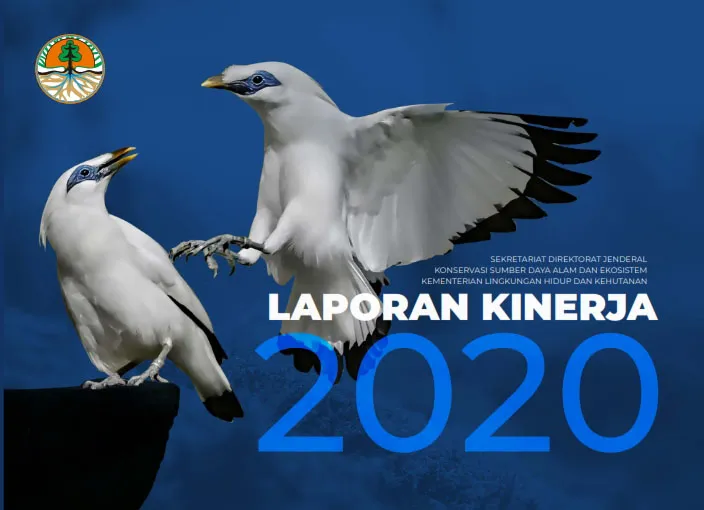 Laporan Laporan Kinerja Setditjen KSDAE Tahun 2020