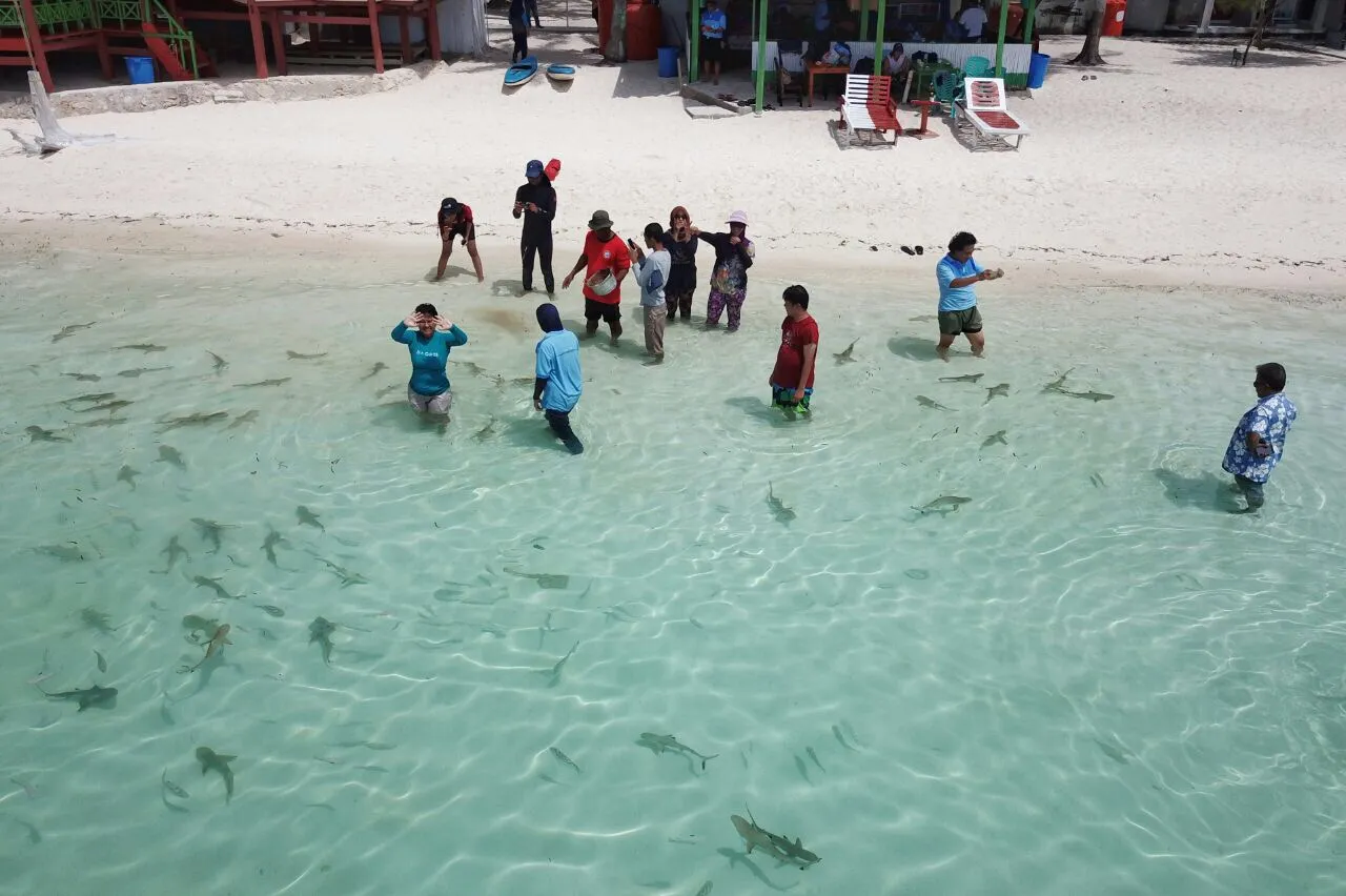 Banner Serunya One Day Field Trip Forum Kolaborasi Cagar Biosfer Indonesia di Pulau Tinabo Selayar