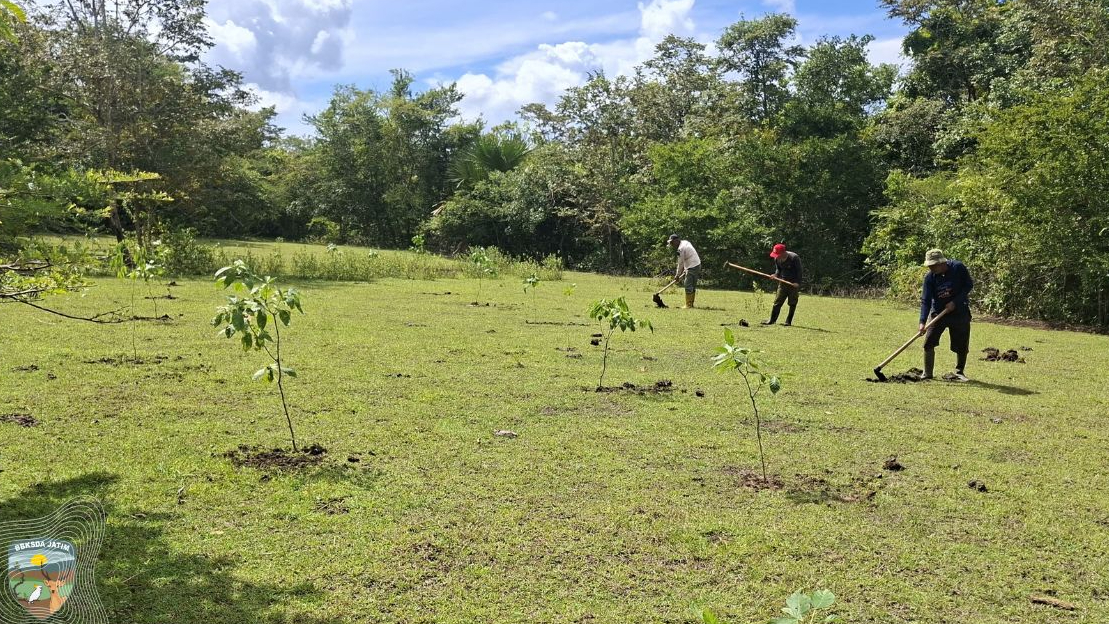 Banner Upaya Tak Surut Menjaga Hidup Di Tengah Tekanan Ekologis Saobi Yang Kering