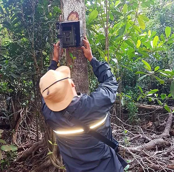 Banner Patroli dan Pemantauan Populasi Harimau Sumatera di SM Kerumutan Utara dan Sekitarnya