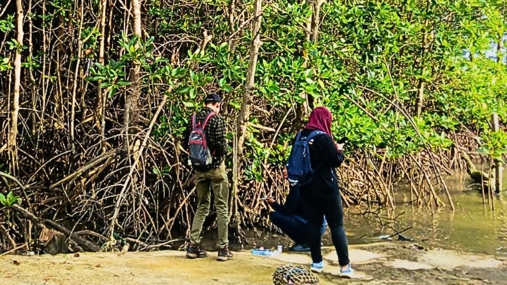 Banner Satu Mangrove, Berbeda Peta: Jawa Timur Sinkronkan Data Pesisir