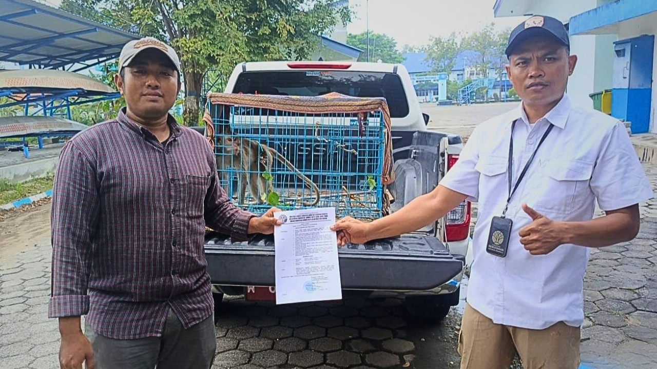 Banner Saat Kesadaran Datang Terlambat, Harapan Seekor Monyet Dari Surabaya Masih Ada