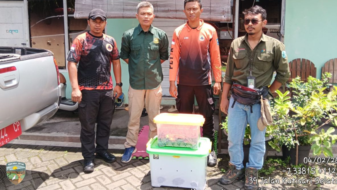 Banner Desis dari Balik Ranjang, Ungkap Wajah Konflik Satwa di Wilayah Urban