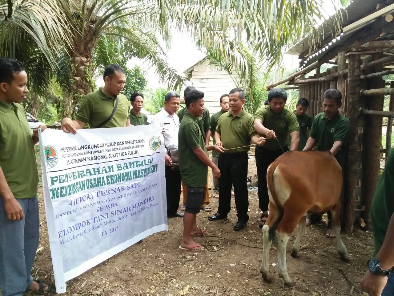 Banner Peningkatan Kapasitas Masyarakat Desa Muara Danau, Balai TN Bukit Tiga Puluh Adakan Pelatihan Budidaya Ternak Sapi