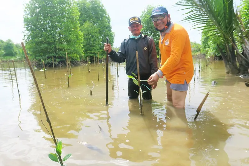 Banner Pondok “Mangrove Lestari” di Muara Sebuhur SM Pelaihari