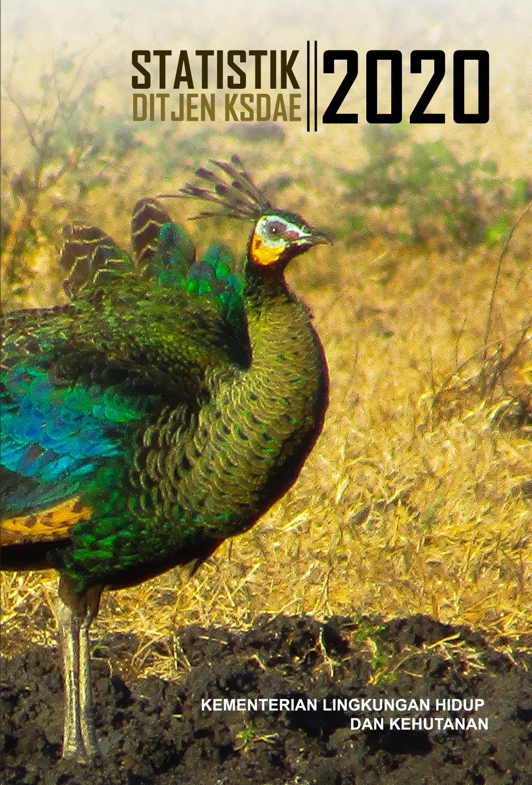 Laporan Statistik Ditjen KSDAE 2020