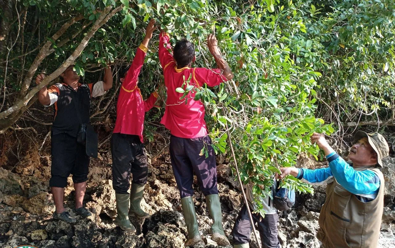 Banner Peneliti BRIN Eksplorasi Biji dan Kajian Habitat di Cagar Alam Pulau Sempu