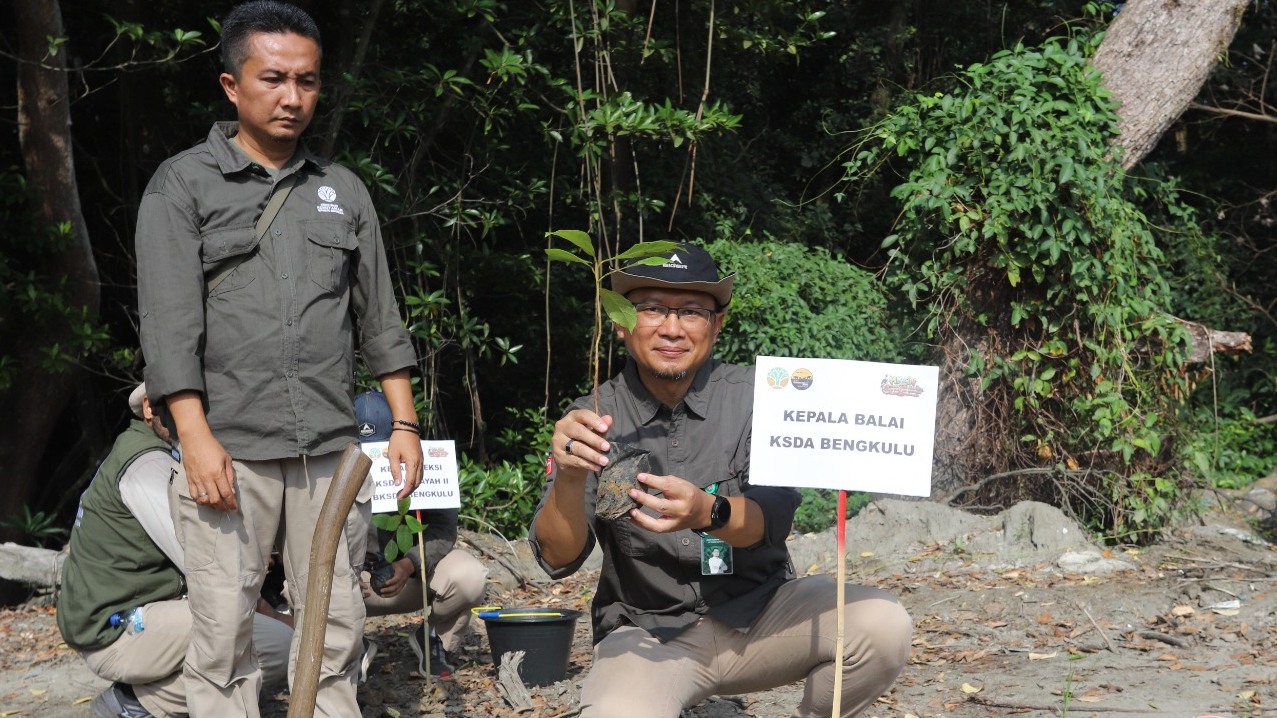 Banner HKAN 2026, BKSDA Bengkulu Tanam 200 Pohon di Kawasan TWA Pantai Panjang dan Pulau Baai
