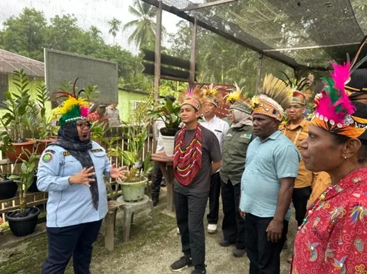 Banner Musim Semi Dambu Kahbrai